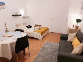 Studio 25m2 tt confort dans Résidence Thermes FOCH centre ville Dax